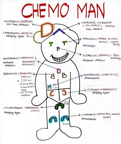 Major Side Effects Of Chemotherapy