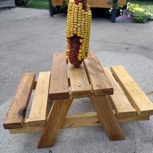 Squirrel Feeder Picnic Table - Etsy