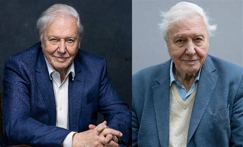 David Attenborough Biography, Age, Net Worth, Wife, Kids, Grandchildren ...