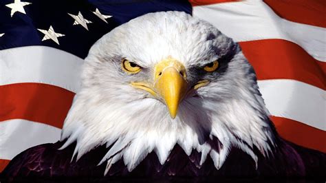 American Eagle Logo Wallpaper - WallpaperSafari