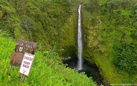 'Akaka Falls: a Spectacular 422 ft Waterfall close to Hilo