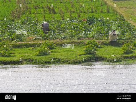 Two men farming on the Nile river in Egypt as seen off of cruise Stock ...