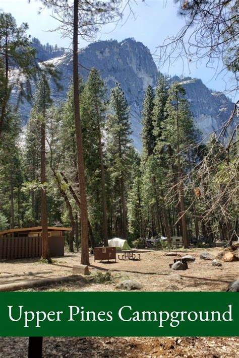 What to expect when camping in Upper Pines Campground in Yosemite ...