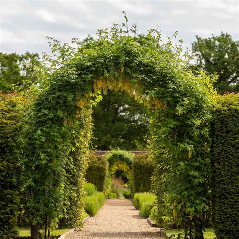 Gothic Garden Arch - Plant Supports at Harrod Horticultural