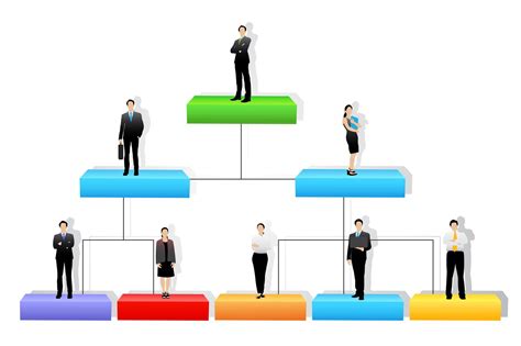 Organization Structure In Management - Image to u