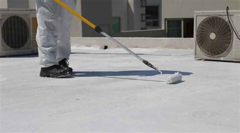 Exploring the Diverse World of Flat Roof Coatings: Options and ...