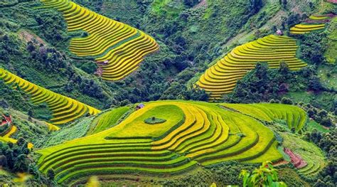 Mu Cang Chai's rice terraces: Vietnam's natural splendor