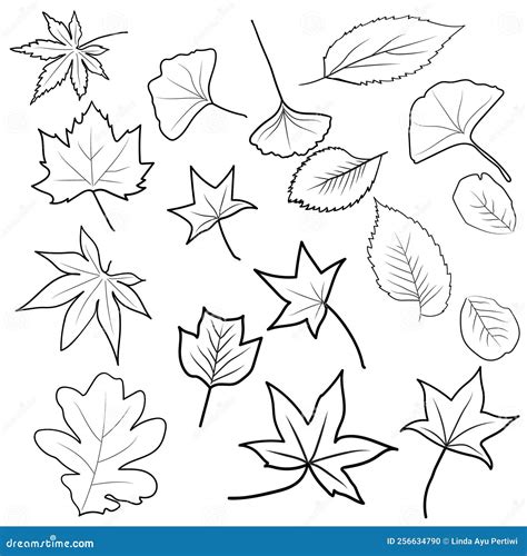 Line Art Set of Autumn Leaves Stock Vector - Illustration of ...