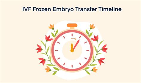 IVF Frozen Embryo Transfer - Timeline, Process, Pregnancy Test