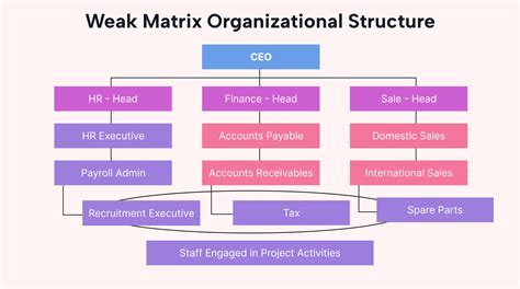 Matrix Organizations 101: with Examples | Motion | Motion