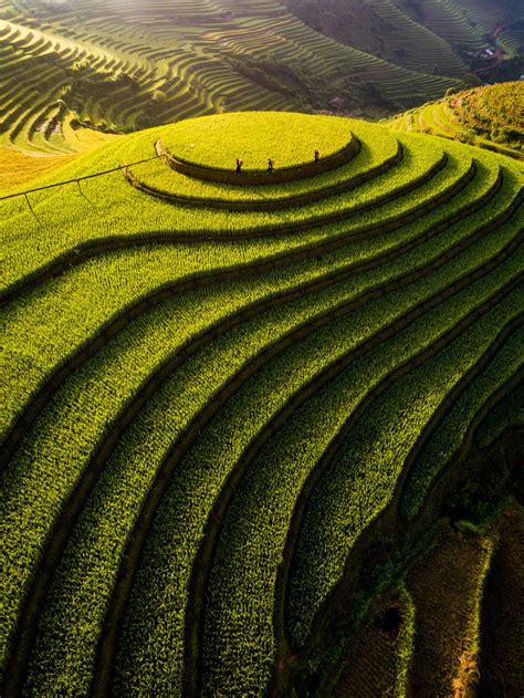 Mu Cang Chai rice terraces | Smithsonian Photo Contest | Smithsonian ...