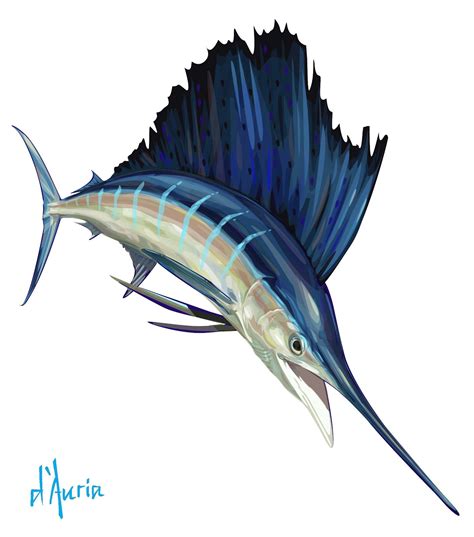 Sailfish | Fish art, Fish drawings, Fish painting