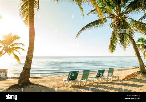 Tropical beach vacation scene with palmtrees and deckchairs in the sand ...