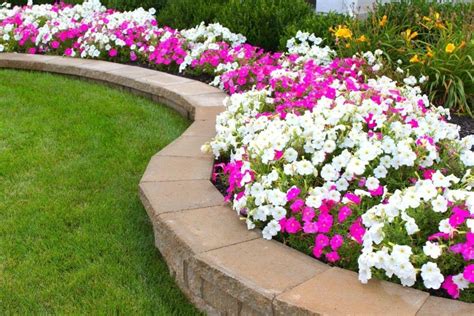 Consistent Flower Beds Maintenance | Keep your beds looking clean