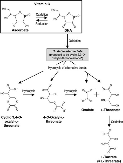 ascorbic acid degradation