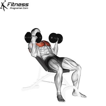 How To: Reverse Grip Incline Dumbbell Press | Muscles Worked And Benefits