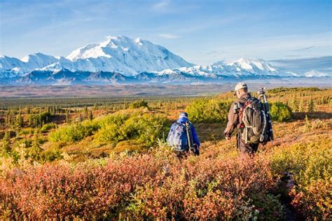 Hiking in Denali National Park - Denali Guidebook