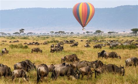 3 Days Masai Mara Balloon Safari | Kenya Safari Tours