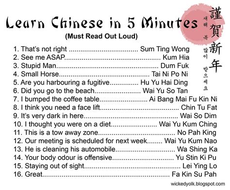 Learn Chinese in 5 Minutes! : r/funny