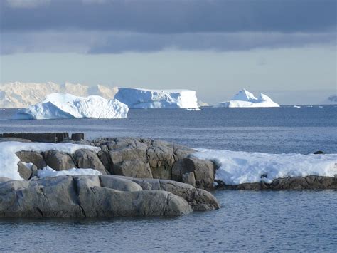 Free photo: Icebergs, Antarctica - Free Image on Pixabay - 337604