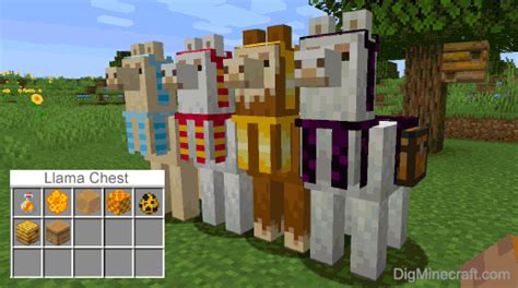 Summon Llama with Chest Generator (Java Edition 1.15)