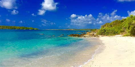 Guía de Vieques y Culebra: las exuberantes islas de Puerto Rico