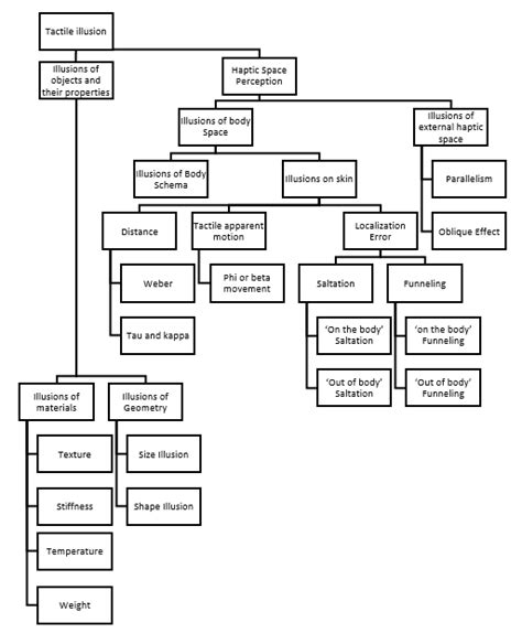 Classification of Tactile Illusions | Download Scientific Diagram