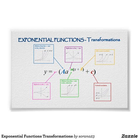 30++ Transformations Of Exponential Functions Worksheet