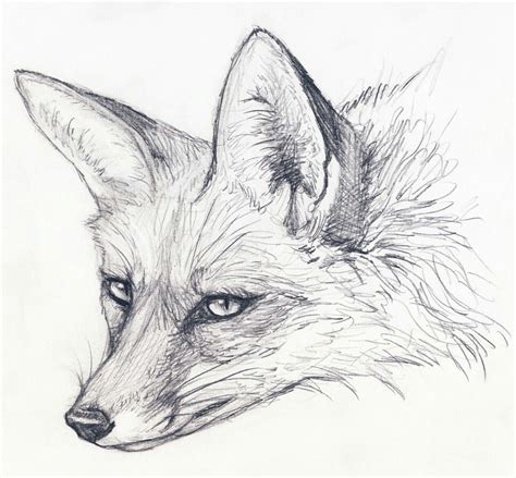 Fox Pencil Drawing, Fox Drawing Sketches, Fox Sketch, Animal Sketches ...