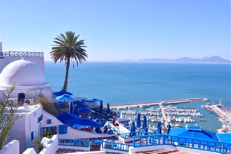 Top 20 Sidi Bou Said, Sidi Bou Said guest house rentals from $23/night ...