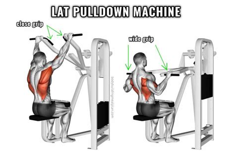 Close Grip Lat Pulldown vs Wide Grip for a Bigger Back