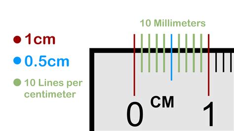 Cómo leer una regla: 10 pasos (con fotos) - wikiHow