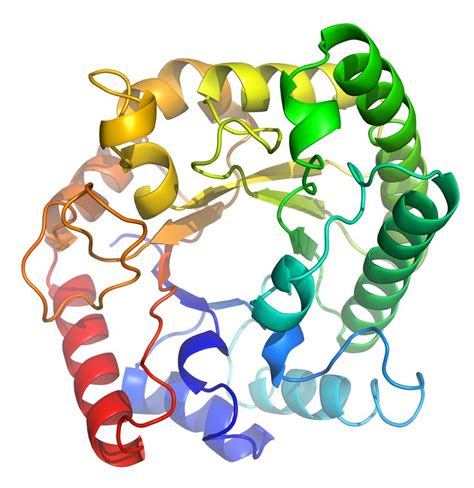 Protein Pictures Biology