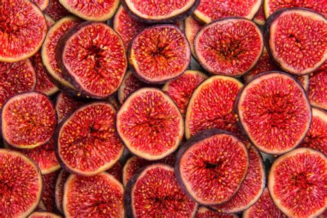 Planting Fig Tree Seeds: Where To Get the Best Seeds To Grow - Minneopa ...