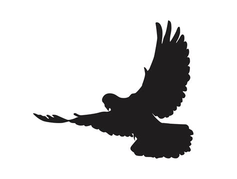 Bird - flying dove silhouette 12904486 PNG