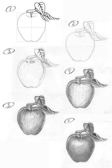 How to draw an apple with a pencil step-by-step drawing tutorial ...