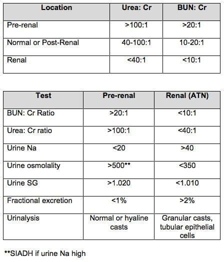 Urea-Creatinine Ratio • LITFL • CCC DDx