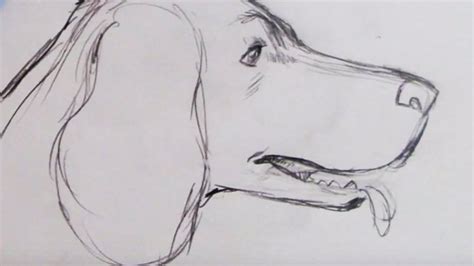 How To Draw A Dog Face Realistic Easy - Lalocades