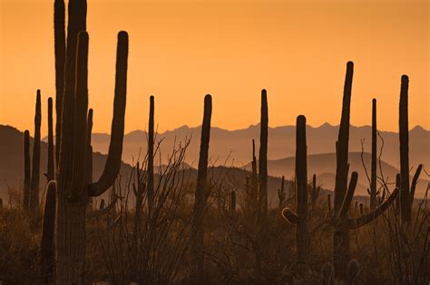 Desert Southwest - Landscapes