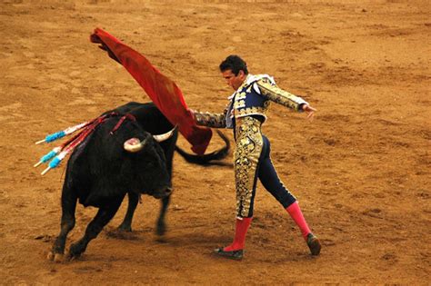 The Controversial Bullfighting in Spain | WorldStrides