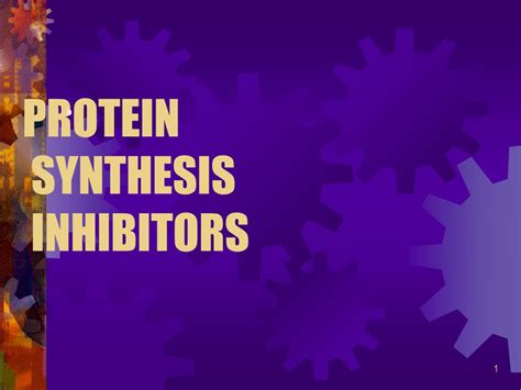 PPT - PROTEIN SYNTHESIS INHIBITORS PowerPoint Presentation, free ...