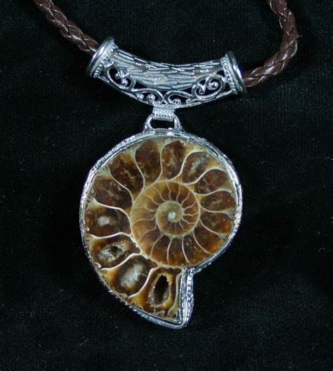 Ammonite Necklace - 110 Million Year Old Fossil For Sale (#7443 ...