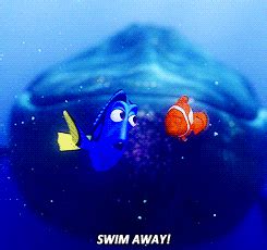 Finding Nemo GIF - Find & Share on GIPHY