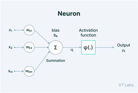 The Essential Guide to Neural Network Architectures