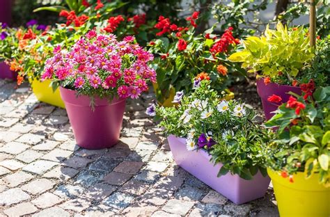 Container Gardening