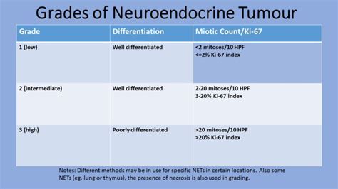 Neuroendocrine Neoplasms – Grade and Stage (incorporating WHO 2019 ...