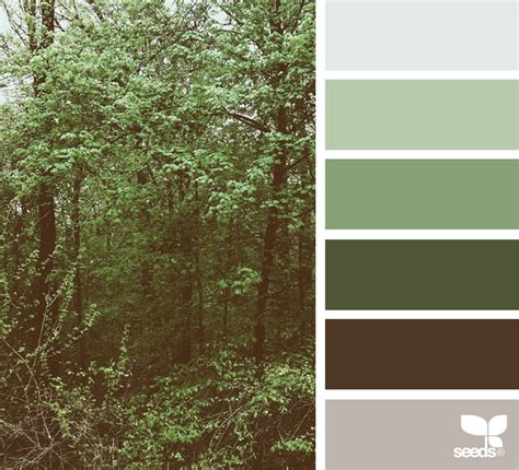 Bedroom Forest Green Color Palette – TRENDECORS