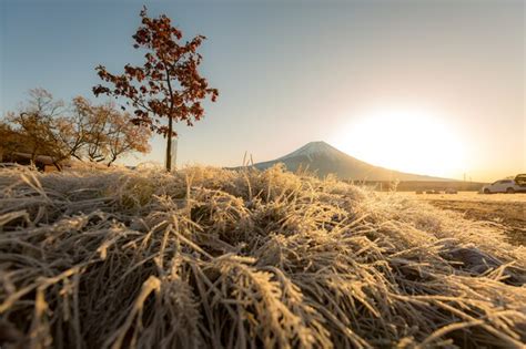 Premium Photo | Mount fuji sunrise