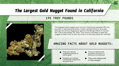 Discover the Largest Gold Nugget Ever Found in California - A-Z Animals