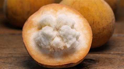 What is Santol Fruit?